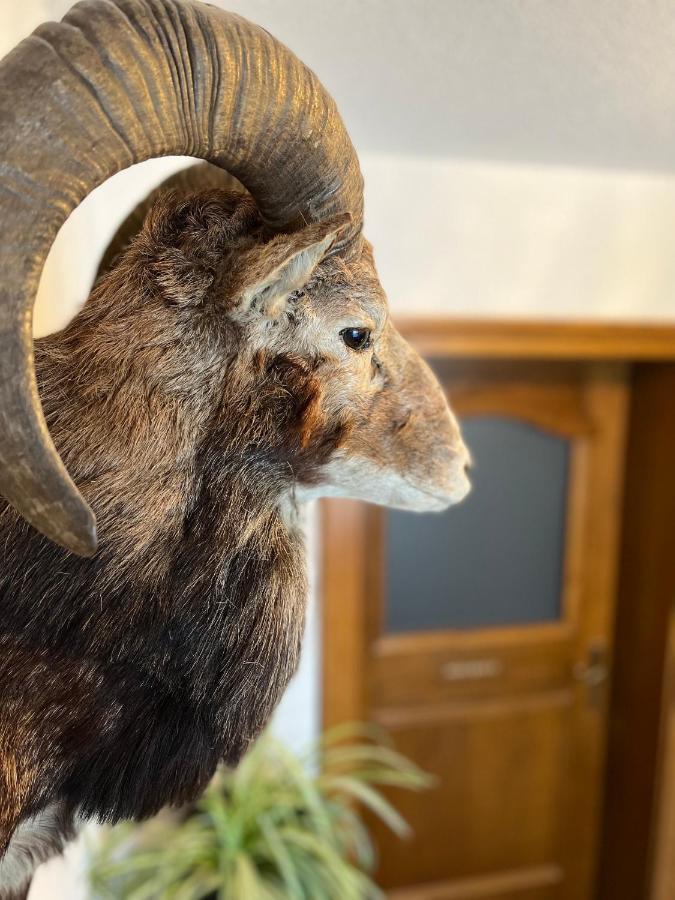 Gaestehaus Johannes Niedernsill Bagian luar foto